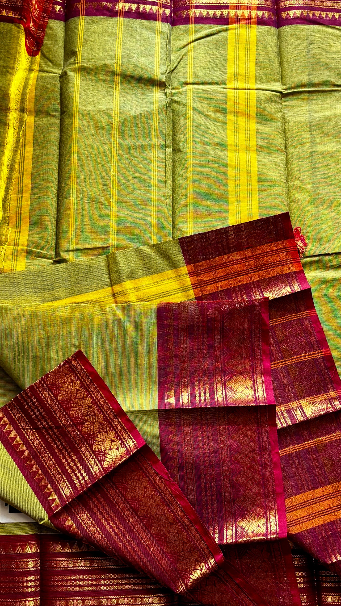Mozhi (without running blouse)