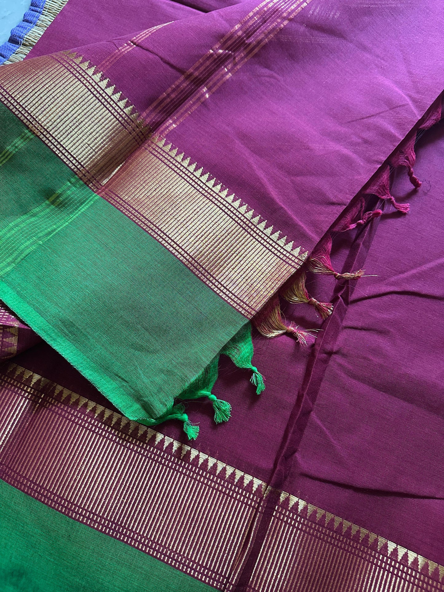 Tejasvi ✨