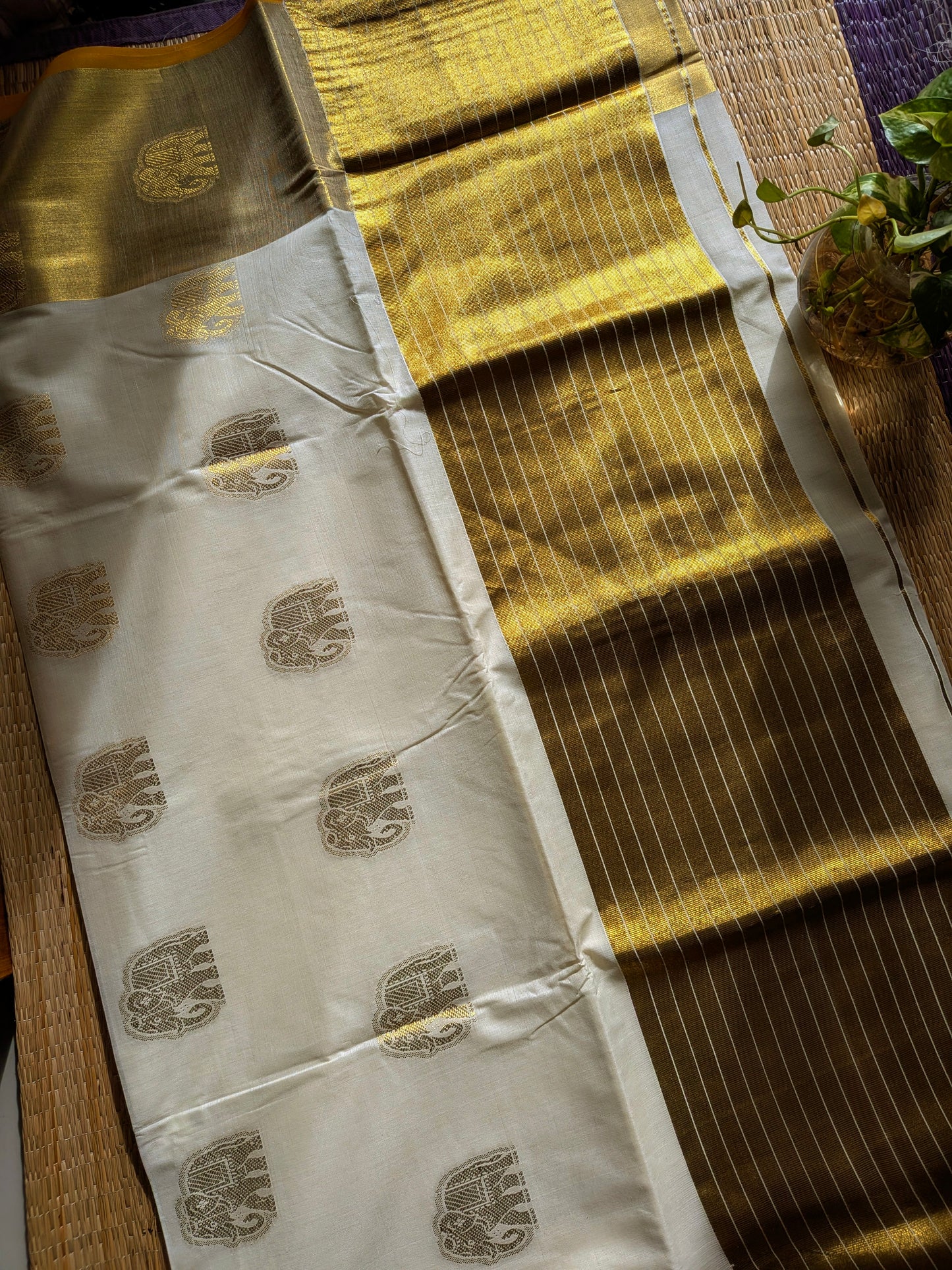 ഗജ✨(Setsaree with running Blouse piece)