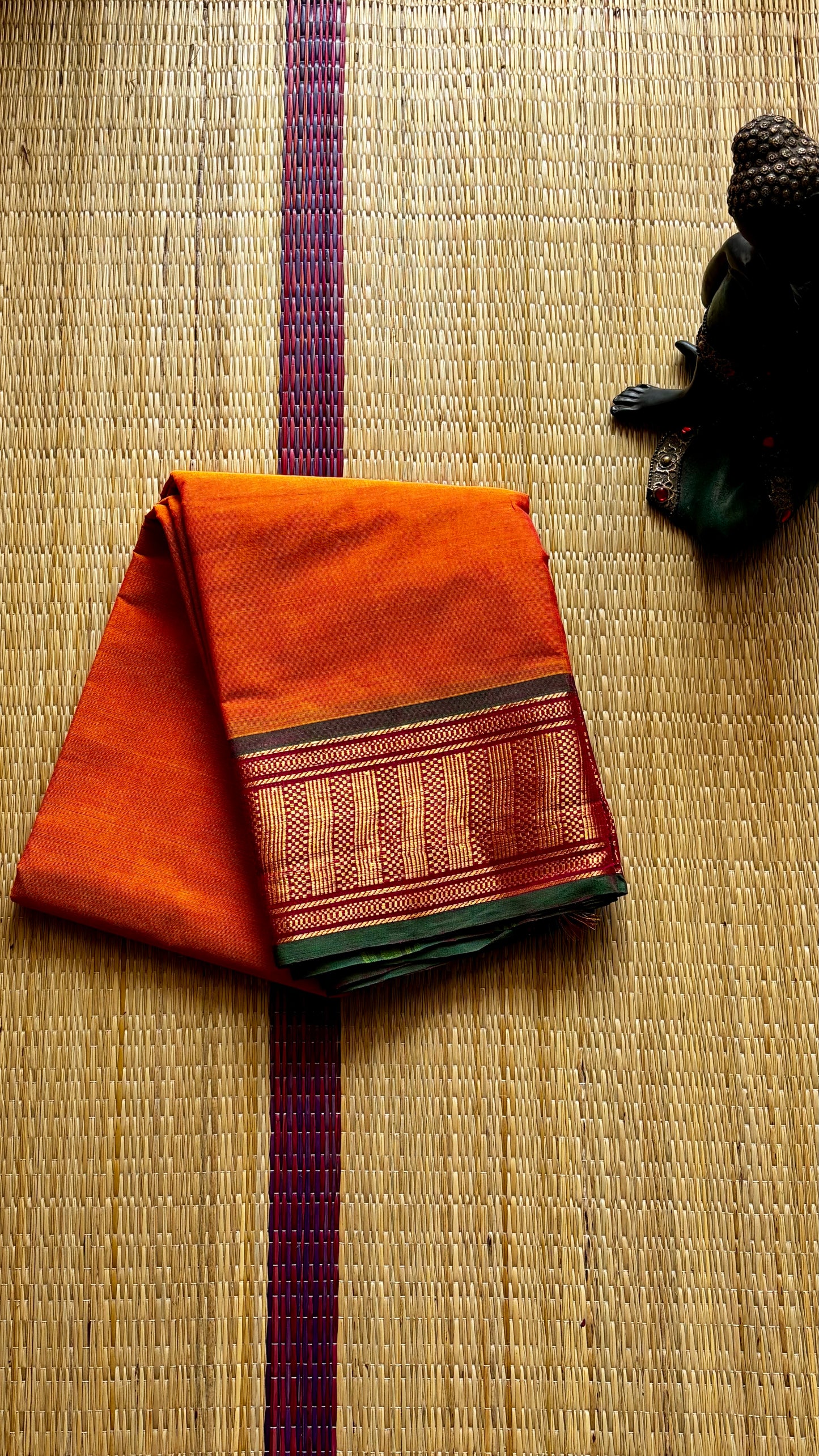 Janaki (without running blouse)