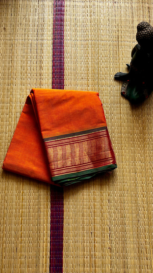 Janaki (without running blouse)