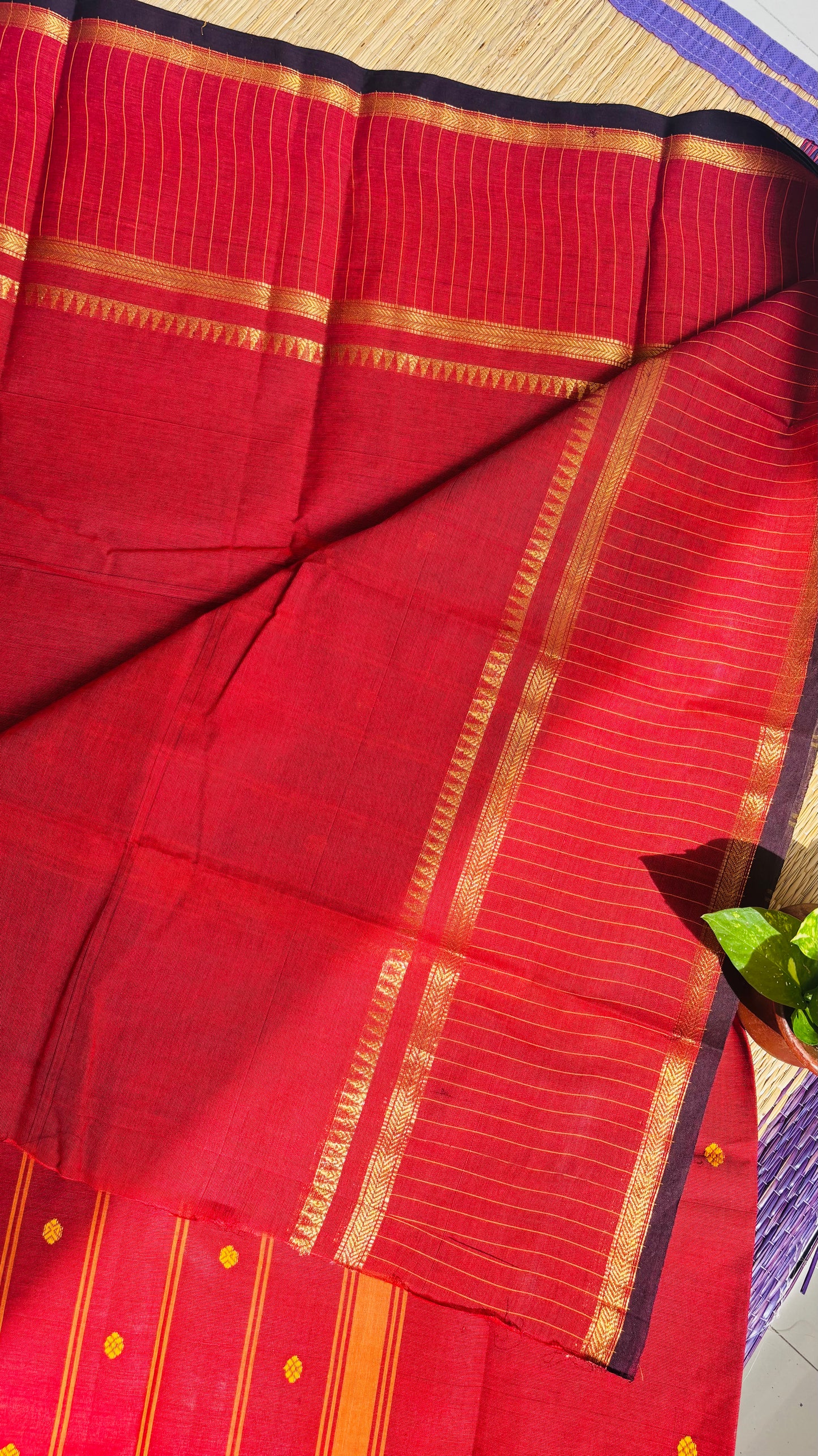Chettinad Cotton💛 (Color may slightly vary due to screen settings.)