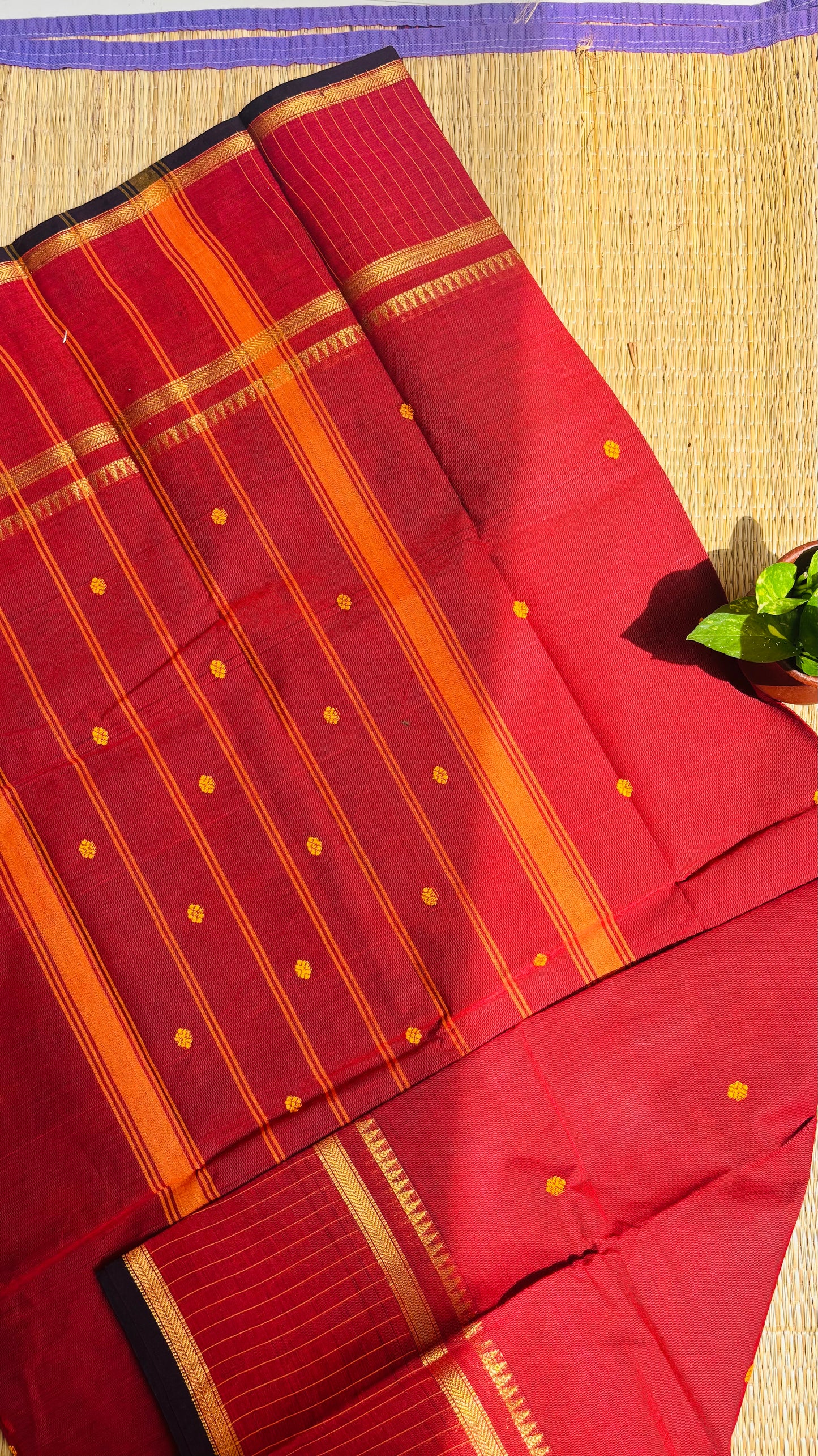 Chettinad Cotton💛 (Color may slightly vary due to screen settings.)