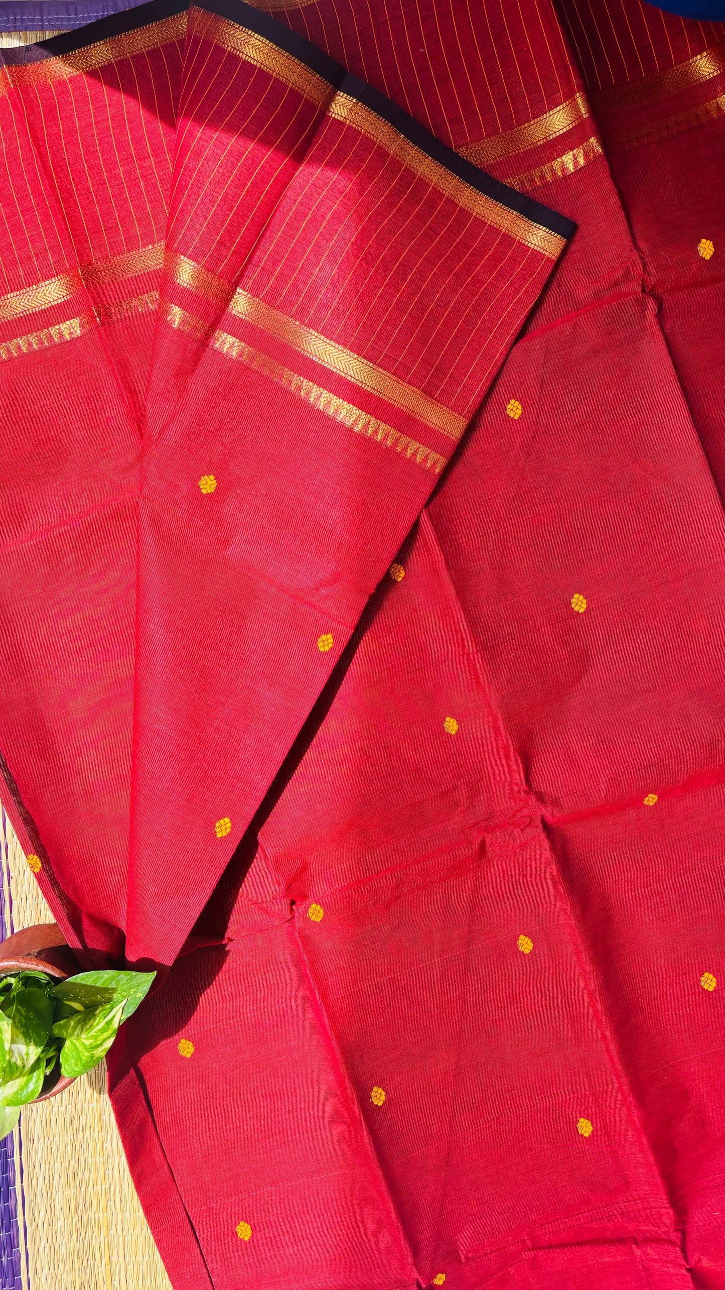 Chettinad Cotton💛 (Color may slightly vary due to screen settings.)