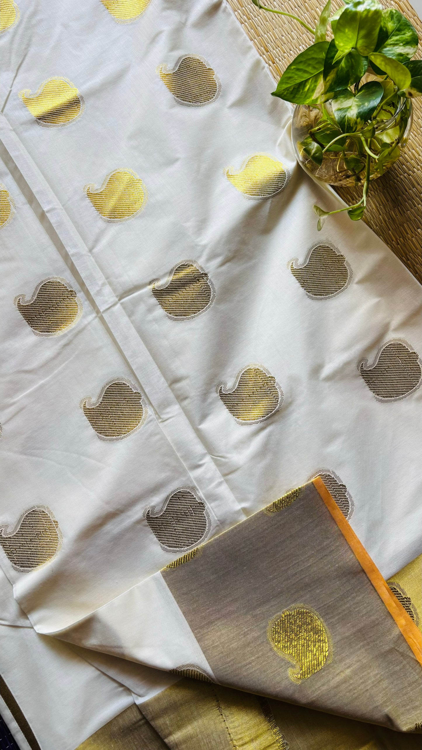 അമര✨(Setsaree with running Blouse piece)